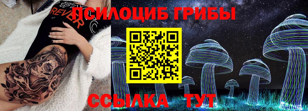 Псилоцибиновые грибы Psilocybe Обь