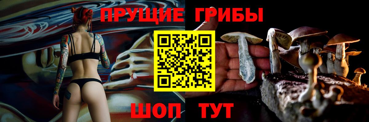 Псилоцибиновые грибы Psilocybe  Галлюциногенные грибы Magic Shrooms  Обь  Вход с VPN 